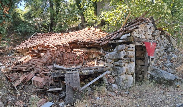 Tarihi değirmen teknolojiye yenildi