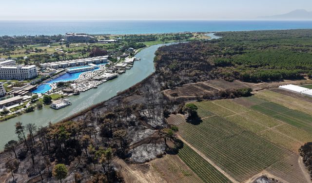 ‘Kumköy'de her yangında ‘otel yapılacak' dedikodularına alıştık'