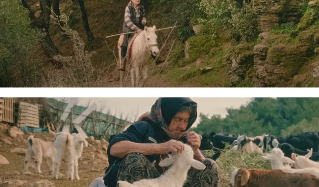 Boğaziçi Film Festivali'nde 31 yapım seyirciyle buluşacak