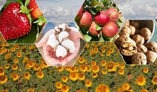 Tarımda zor yıl beklentisi! Bitkisel üretimde düşüş bekleniyor