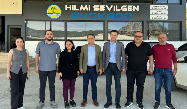 Alanya Avokadosu Dünya Pazarlarında yerini alıyor