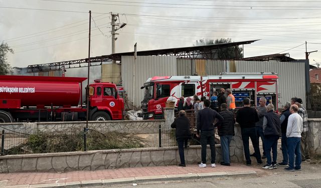 Antalya'da ahşap presleme ve üretme atölyesinde yangın