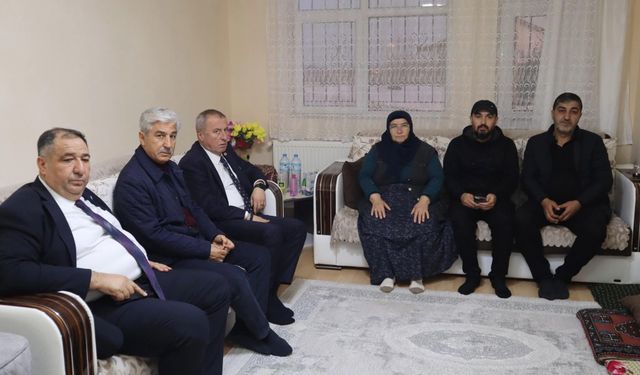 Böcek ailesine taziye