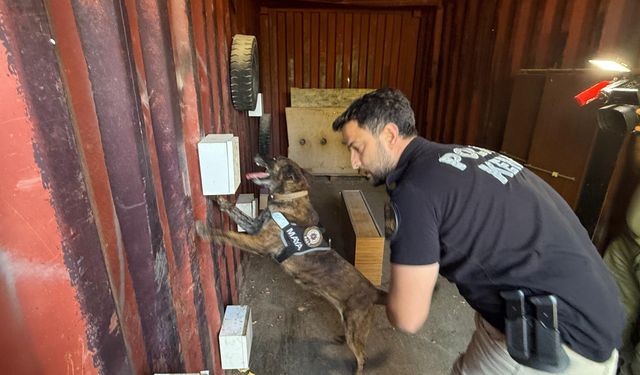 Narkotik köpeklerinin sıra dışı eğitimi; madde değil, oyuncağını arıyor