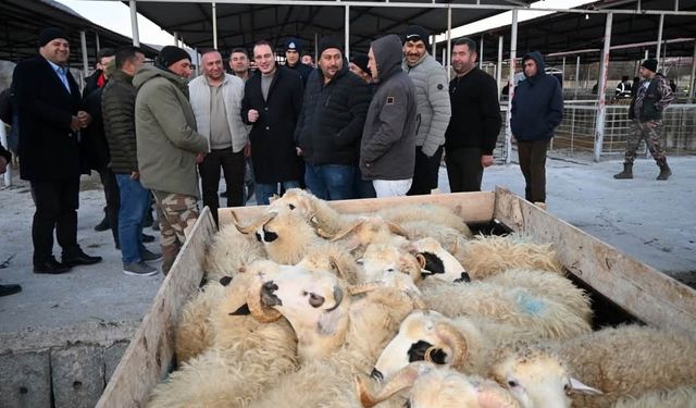 Şap hastalığı kontrolü yapıldı