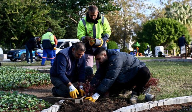 Trafik Parkı çiçek bahçesine dönüştü