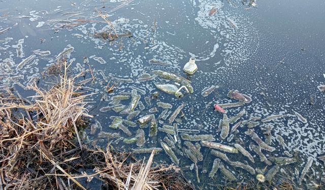 'Atıklar Eber Gölü'ndeki yaşamı yok etti'