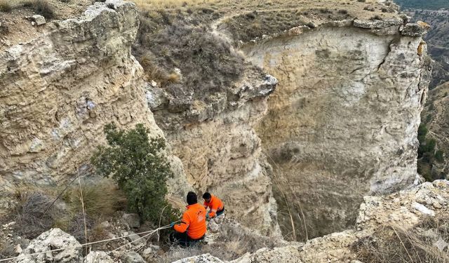 Avcılar, uçurumdan yuvarlanan köpeği kurtardı
