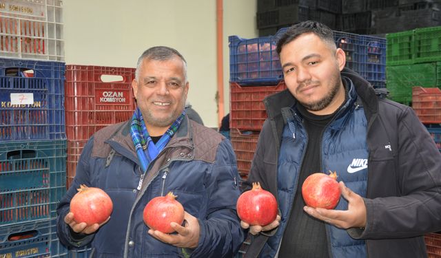 Nar ihracatı başladı