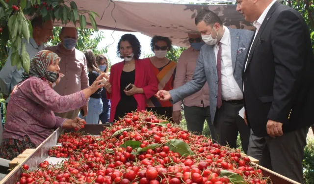 Çeribaşı Kirazı'na coğrafi işaret tescili