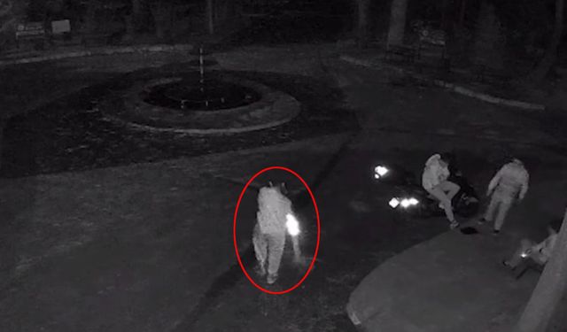 Mezarlıkta dubayı havuza fırlatıp kameraya el kol hareketi yaptılar