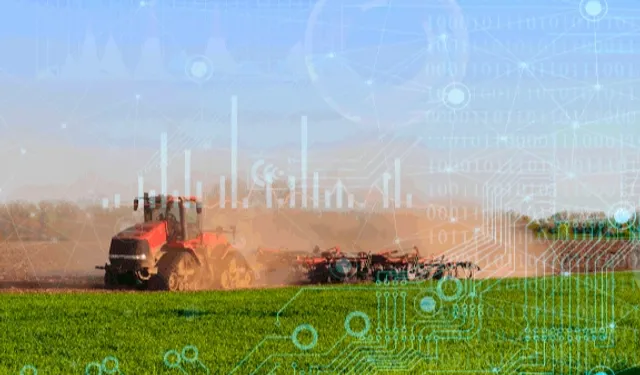 TÜİK 2025 bitkisel üretim verilerini açıkladı