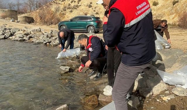 Afyonkarahisar'da 13 ilçede 39 göl ve gölete balık bırakıldı