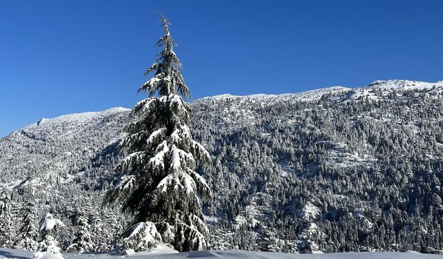 Alacabel'de hayran bırakan kar manzarası
