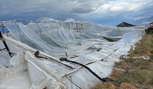 Antalya'da fırtınadan seralar zarar gördü, ağaçlar devrildi
