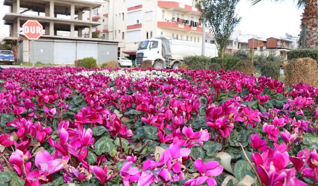 Antalya'da park ve bahçelerde kış çalışmaları