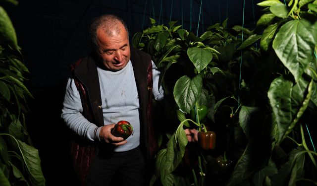 Antalya'da seralar cep telefonları ile izleniyor