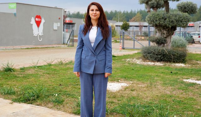 Büyükşehir'den sokak köpeklerine özel yaşam alanı