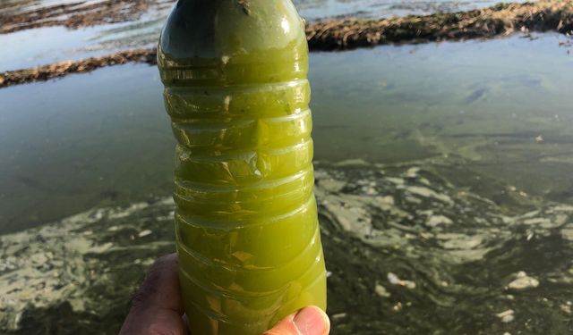 Eğirdir Gölü'nde 'bulanık yapı' riski