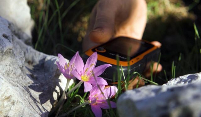 Endemik türü koparmanın cezası 699 bin 245 TL