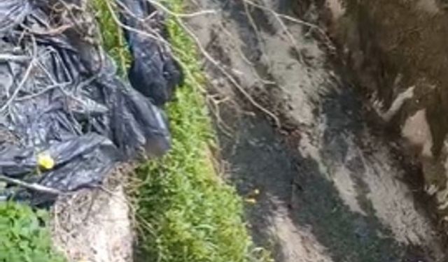 Alanya'da üreticiler acil çözüm bekliyor: Ürünler kurudu