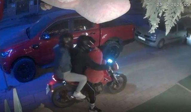 Alanya'da çiçekçiden pelüş ayı hırsızlığı