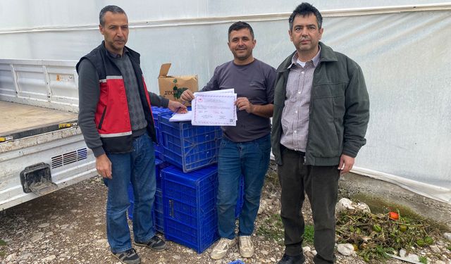 Antalyalı üreticilere sertifika