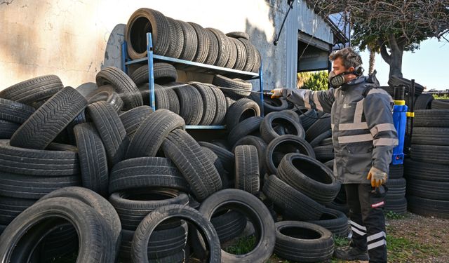 Büyükşehir'den haşere ve vektörlere karşı kış mücadelesi