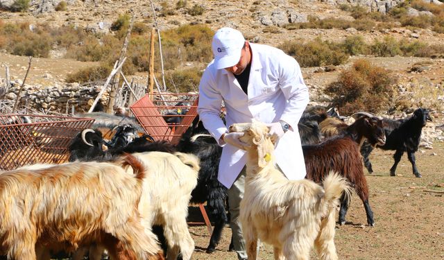 Antalya'da Çoban Haritası Projesi ile 508 çobana destek oldu