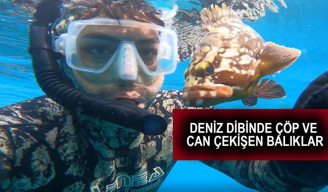 Antalya'da denizden 'büyü malzemesi' çıkarıyor