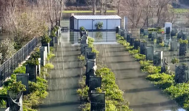 Irmak taştı, Antalya-Alanya Otoban İnşaatı şantiyesi ile narenciye bahçelerini su bastı