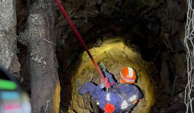 Kuyuya düşen oğlak kurtarıldı