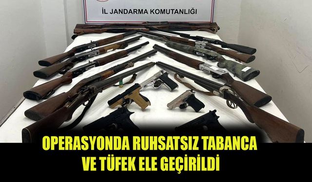 Antalya'da ruhsatsız silah operasyonu