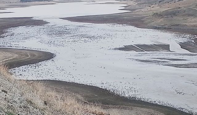 Selevir Barajı su tutmaya başladı