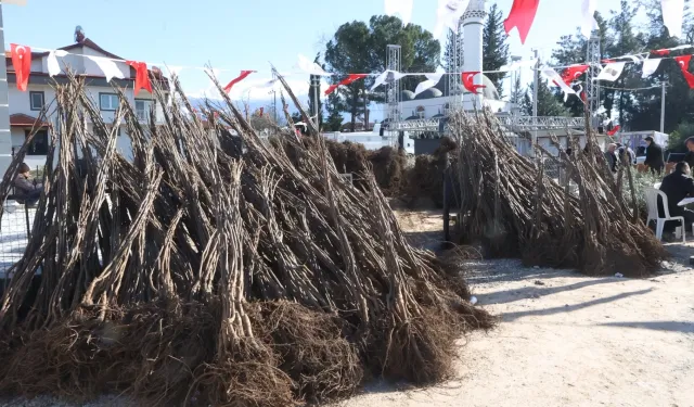 Üreticilere balık yemi desteği