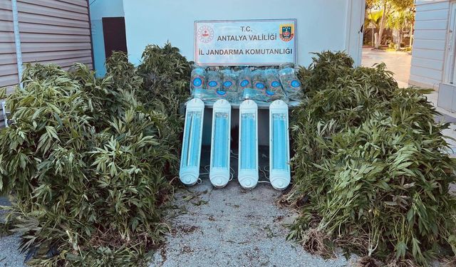 Antalya'da uyuşturucu serasına operasyon