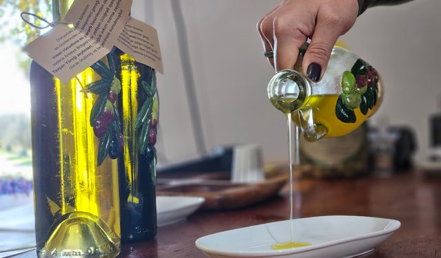 Dr. Kahraman: Tavşan yüreği zeytinyağı, kemoterapi kadar etkili