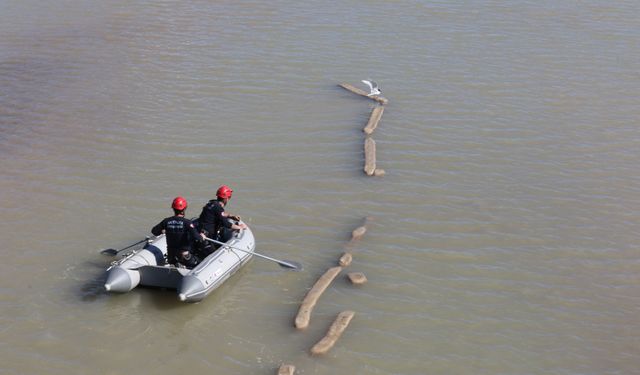 Ayağına misina dolanan martıyı itfaiye eri kurtardı