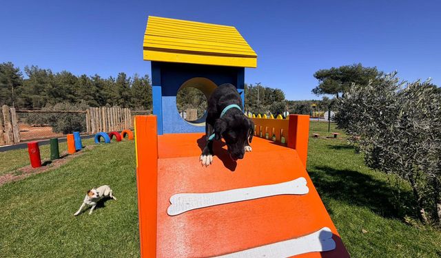 Antalya'da Pati Park hizmete açıldı