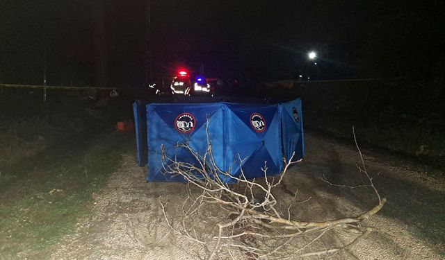 Kamyonet kasasından düşen kadın öldü