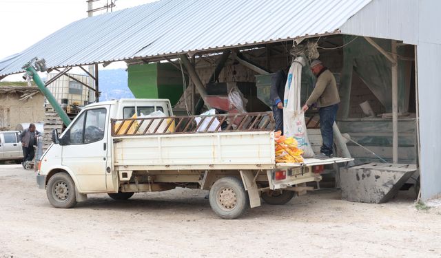 Korkuteli'de hayvancılar kendi yemini üretiyor