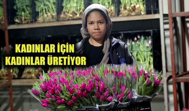 Antalya'da 8 Mart Dünya Kadınlar Günü'ne özel suda lale üretimi