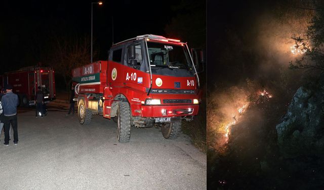 Alanya'da orman yangını büyümeden söndürüldü