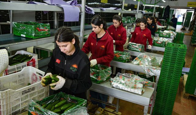 İran savaşı sonrası Türkiye'den Rusya'ya sebze ihracatı arttı