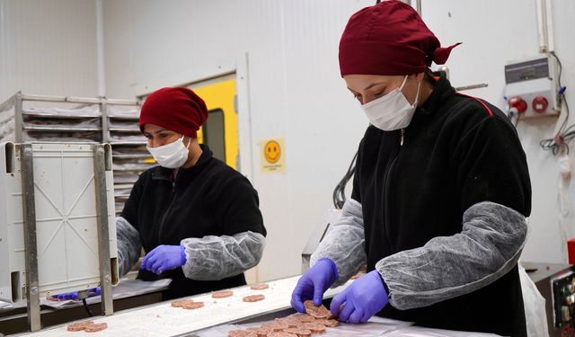 Sanayide kadın gücü: Hem üretiyorlar hem de aile ekonomisine katkı sağlıyor