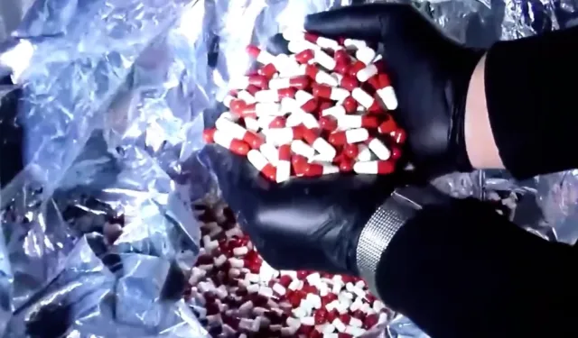 Sınırda ve limanda dev operasyon! 484 kilo uyuşturucu ele geçirildi