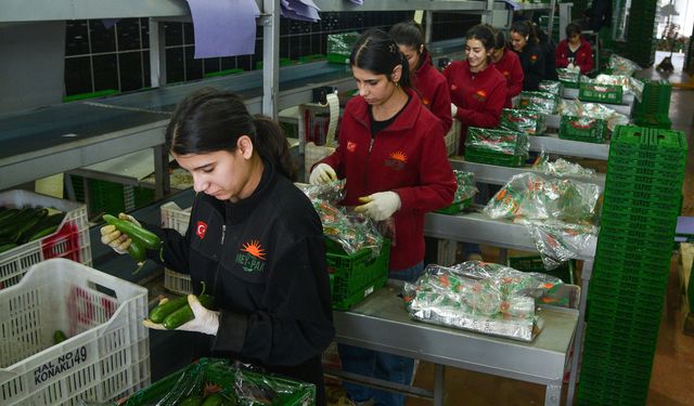 Antalya Hali'nden 64 ülkeye tarım ürünü ihraç ediliyor