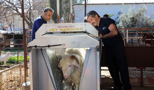 Verim artıyor, hastalık riski azalıyor