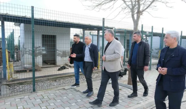 Adanalı veterinerlerden hayvan bakımevine inceleme