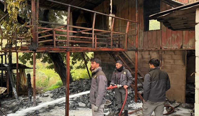 Alanya'da müstakil ev alevlere teslim oldu